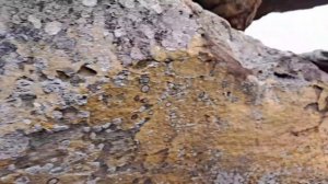 Каменная Могила. Мелитополь