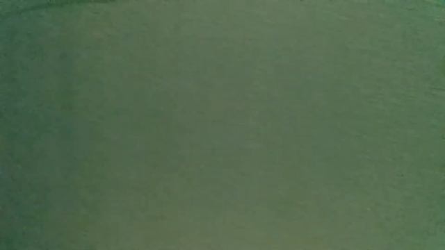Текстурная краска(textur farbe)