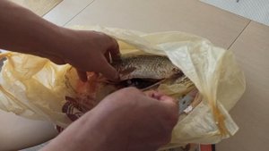 Как почистить и запечь карася