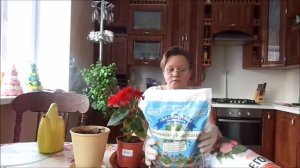 Бегония "Элатиор" Сохранение Зимой