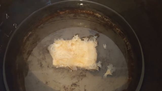 Древесный корейский белый гриб