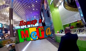 Выезд в МЕГУ