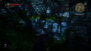 Человек теней Достижение The Witcher 2 Assassins of Kings