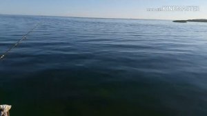 Коп на Балхаше в Казахстане.  Не ОБЫЧНЫЕ находки....