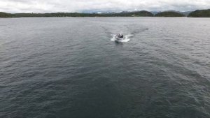 Norwegian fjord exploration. Фьорд. Лодка. Мы!