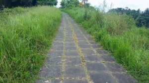 Тропа художников в Убуде (Ubud)