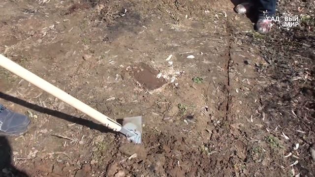 Чем обрабатывать почву  Новинка   Ручной культиватор Грач