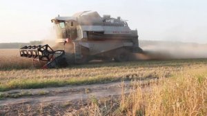 КОМБАЙН УБОРКА ЗЕРНОВЫХ  РАБОТА КОМБАЙНА НА ПОЛЕ
