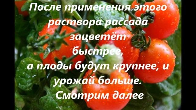 8 Полезных советов для огорода