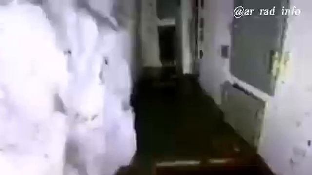 16 ноября 2023 г.