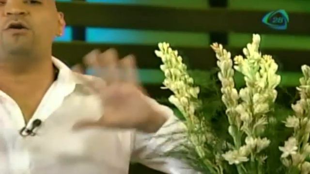 ¿Cuáles son los beneficios del nardo? / Tips espirituales смотреть онлайн