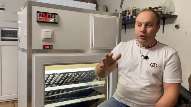 Как принять решение и начать выводить птицу? Риски. Инкубатор в Темрюк, с панорамным стеклом.