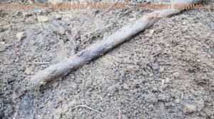 коп монет металлоискателем царские монеты шурф разведка на старинном урочище.Пошли цари!коп по войне