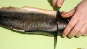 Рыба в духовке проще простого, и вкусно!