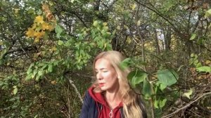 ОСЕННИЙ ДАУНШИФТИНГ | FROM ДЕРЕВНЯ WITH LOVE