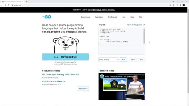 Go (Golang) Tutorial #1 - Introduction & Setup