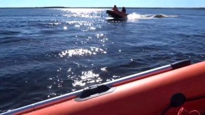 Озеро Волоярви. Обкатка новой лодки.