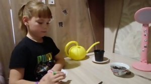 Братский район, МБУ ДО "Дом Детского Творчества", объединение " Ландшафтный дизайн", Пивоварова