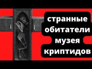 Странные обитатели музея криптидов.