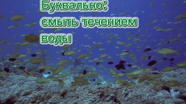 Японская пословица
