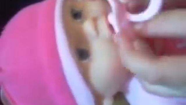 Распаковка Baby Born - Little Princess смотреть онлайн