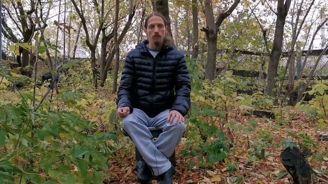 Раннее развитие детей. Увлечения детей. Подсознательные желания родителей.