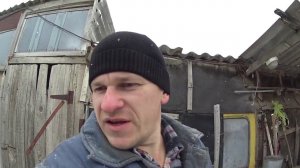 Содержание домашней птицы зимой // Куры, утки, гуси // Жизнь в деревне