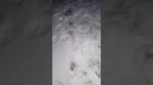 Масло ЛИКВИ МОЛИ В МОРОЗ -35