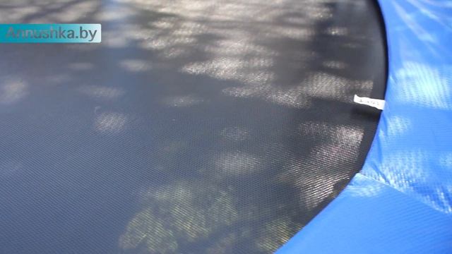 Батут с сеткой Alpin Smile 312 cm смотреть онлайн