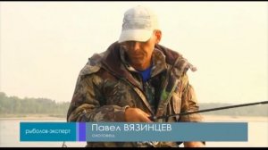 Рыбалка на жереха на Нижней Волге. Тактика ловли жереха на сбирулино.