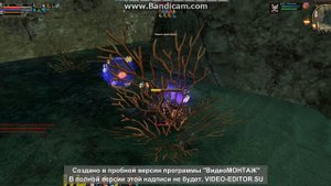 Карос Чарка Karos Чародейка