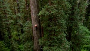 Дикий Запад 1 серия «Золотая лихорадка» (документальный сериал, 2013)