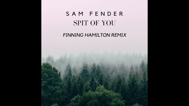 Sam Fender - Spit Of You (Finning Hamilton Remix) смотреть онлайн