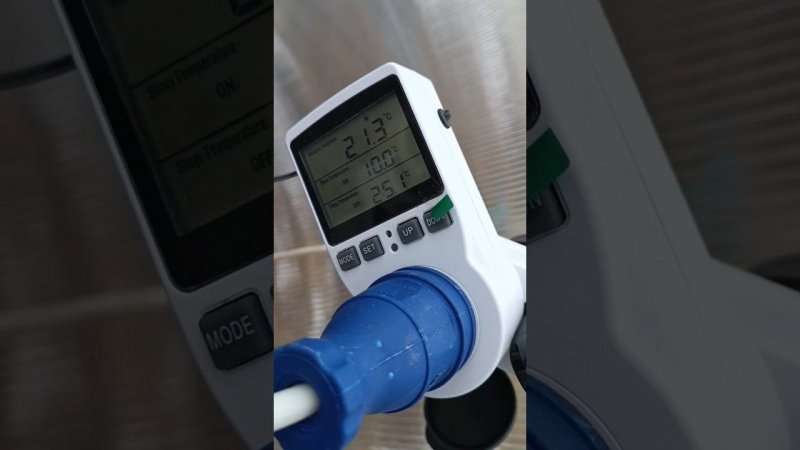 Теплые теплицы под клубнику и рассаду