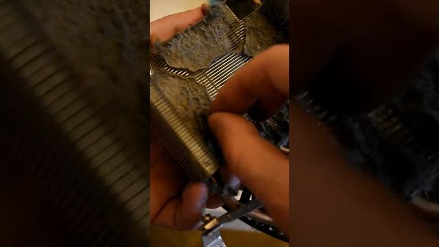 Сейчас я вам покажу, как пыль убрать смотреть онлайн