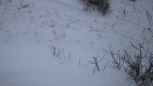 Ориентирование на местности зимой. Открытые пространства. Часть 1