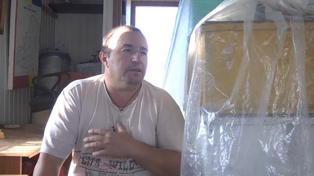 Борьба с восковой молью смотреть онлайн