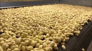 Накатка арахиса оболочкой