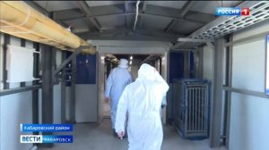 Минвостокразвития разрешил запуск первой очереди свиноводческого комплекса в селе Ракитное