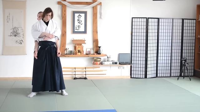 [Aikido Techniques] Technique and Philosophy of Sankyo from Behind смотреть онлайн