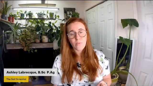 Water vs. Soil Propagation with Ashley Labrecque The Soil Scientist смотреть онлайн