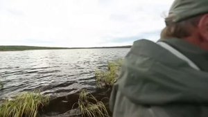 Диалоги о рыбалке  Щука HD