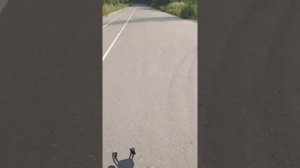 Amazfit t-rex 2. ведение по загруженному треку.