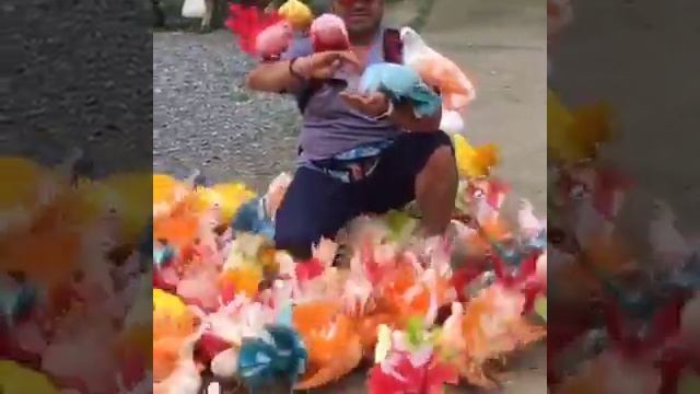 Радужные голуби смотреть онлайн