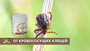 БИОПРЕПАРАТ ОТ КРОВОСОСУЩИХ КЛЕЩЕЙ