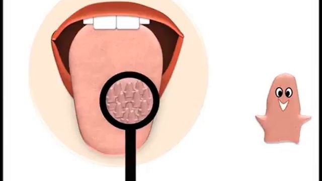 Органы чувств. 4 часть. Вкус. смотреть онлайн