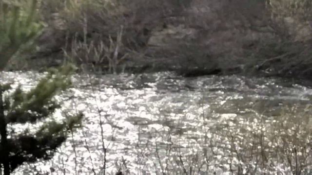 Гуляем вдоль реки Кача от д. Творогово в сторону д.Логовик(звук ставить выше). смотреть онлайн