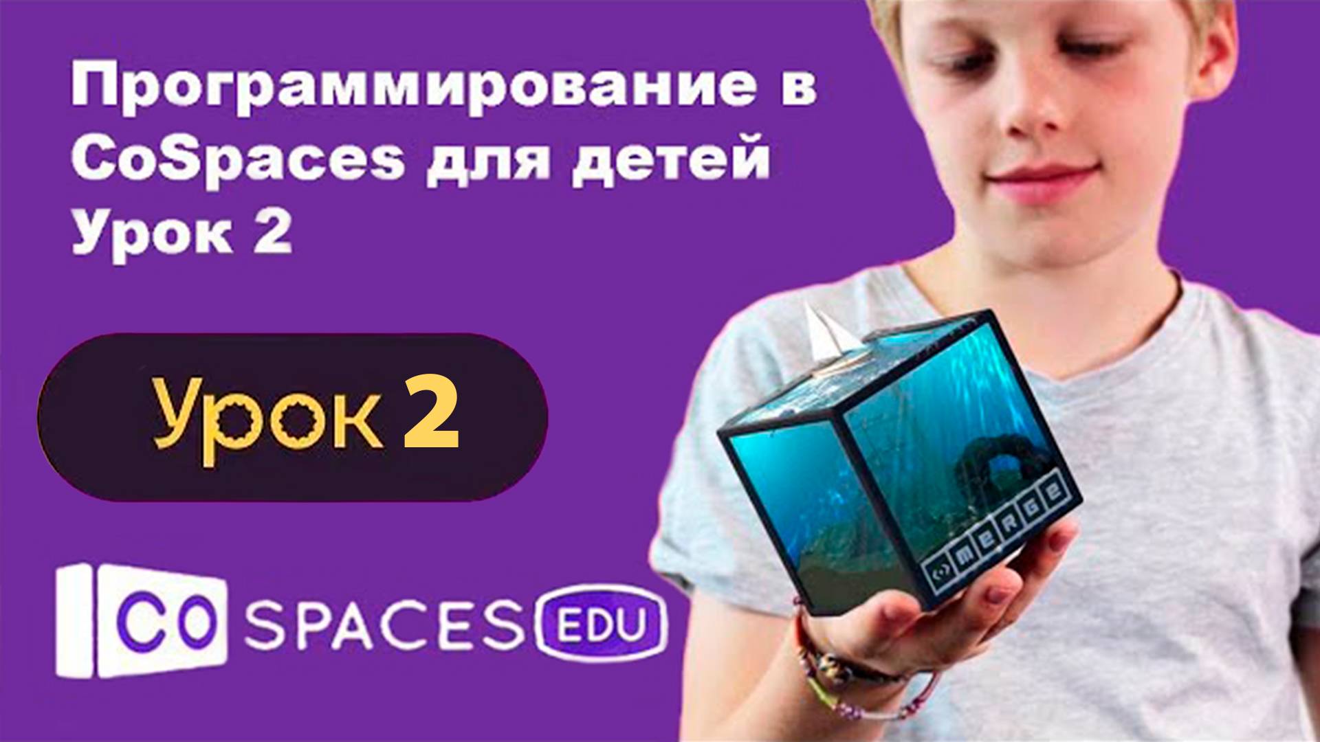 Курс "CoSpaces". Демо урок 2.5 Подготовка птицы