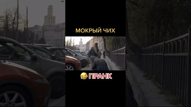 Мокрый чих пранк