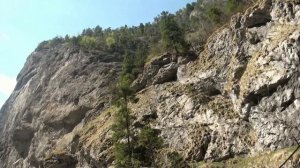 Sony HDR-XR550E - Video Test